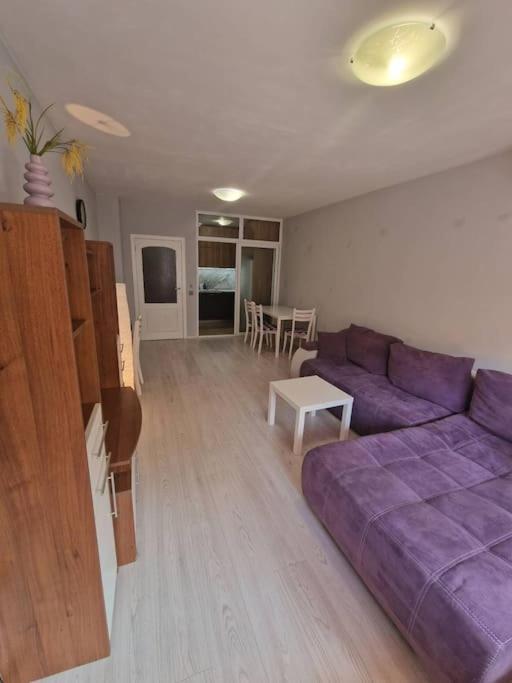Cozy Central Apartment In Outskirts Of Old Sofie Exteriér fotografie